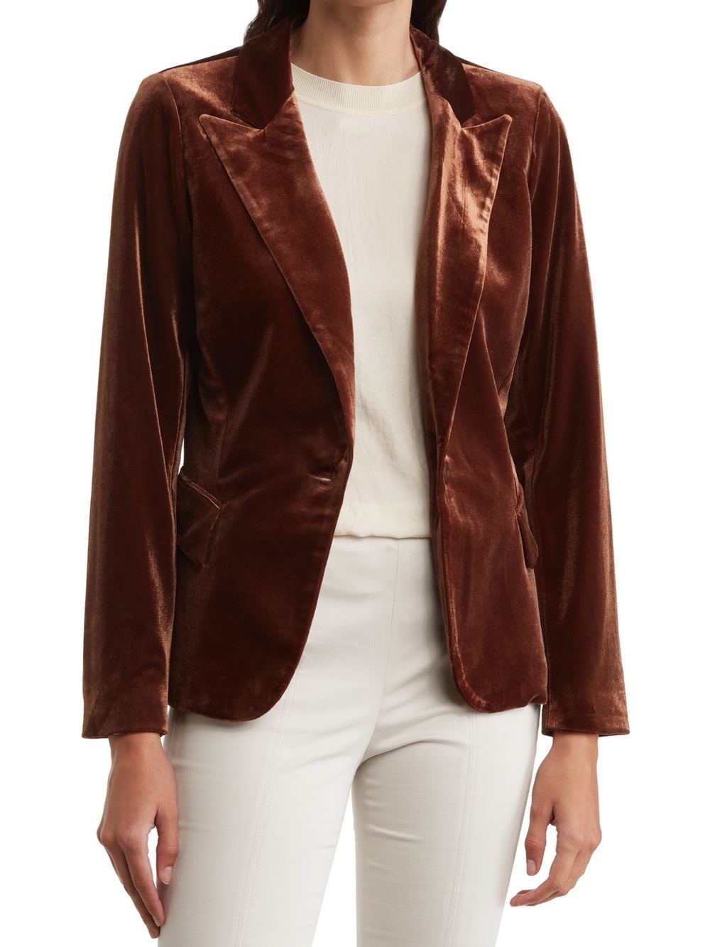 NWT! DR2 by Daniel Rainn Peak Lapel Velvet Blazer